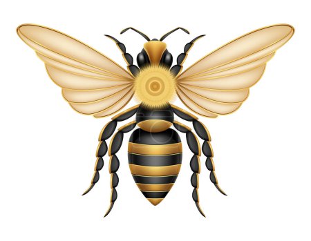 Ilustración de Insectos abeja fauna animales vector ilustración aislado sobre fondo blanco - Imagen libre de derechos