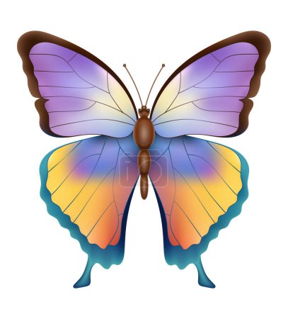 Ilustración de Mariposa insectos fauna animales vector ilustración aislado sobre fondo blanco - Imagen libre de derechos