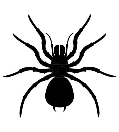 Téléchargez les illustrations : Araignée insectes faune animaux vecteur illustration isolé sur fond blanc - en licence libre de droit