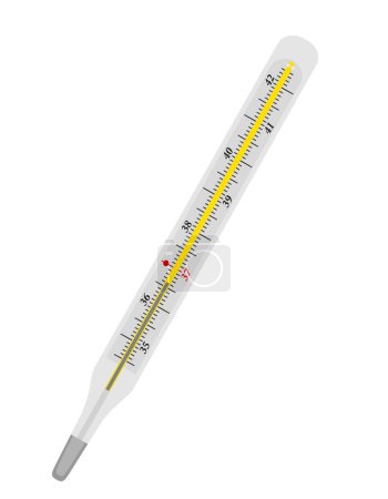 Illustration for Mercury medical thermometer stock vector illustration isoladet on white background - Royalty Free Image