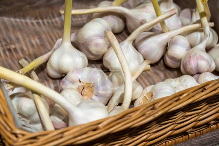 Photo for An image of some garlic in the basket - Royalty Free Image