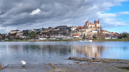 Photo for An image of Breisach Germany at river Rhine - Royalty Free Image