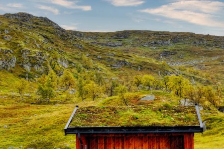 Photo for Sod Roof and Rocky Wildernwss near Eidfjord - Royalty Free Image