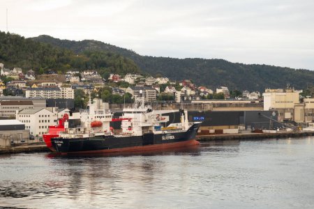 Foto de BERGEN, NORUEGA - 28 de agosto de 2023: Bergen en la costa oeste de Noruega es conocida como la ciudad de las siete montañas. Es el puerto más concurrido de Noruega con más de 300 cruceros al año con casi 500.000 pasajeros - Imagen libre de derechos