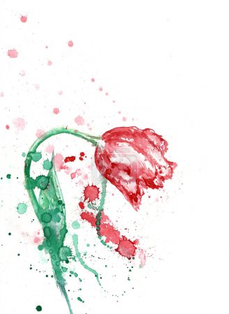 Téléchargez les photos : Aquarelle de la tulipe rouge avec une tige incurvée sur le fond blanc. - en image libre de droit