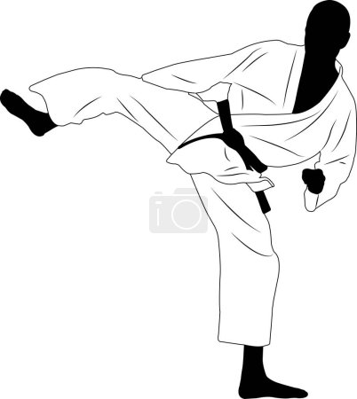 Illustration for Karate fighter, sidekick ( martial arts ) - vector - Royalty Free Image