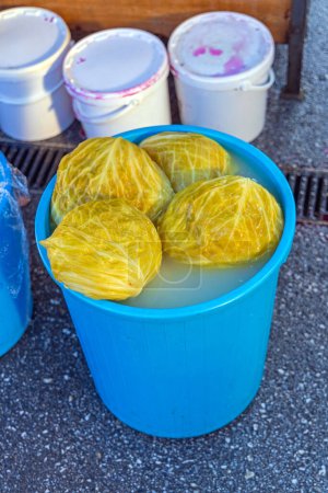 Téléchargez les photos : Fermented Whole Cabbages in Bucket Winter Food - en image libre de droit