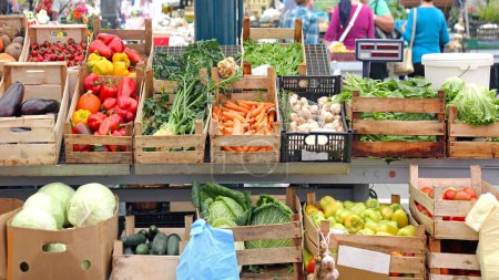 Téléchargez les photos : Légumes cultivés localement dans des caisses au marché fermier en Istrie - en image libre de droit