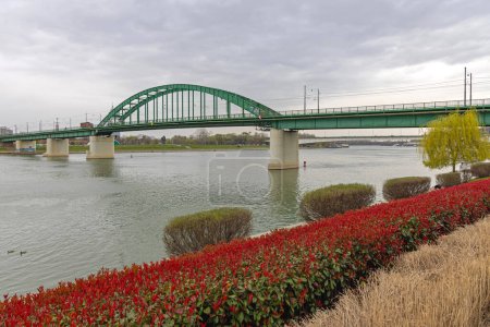 Foto de Antiguo Puente de Arco Verde sobre el río Sava Belgrado Serbia - Imagen libre de derechos