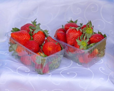 Foto de Frutas rojas frescas de fresa en bandejas de plástico en paño blanco - Imagen libre de derechos