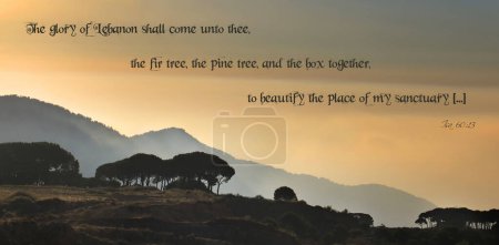 Foto de Puesta de sol sobre un bosque de pinos en Líbano con picos de montaña en el fondo y una cita bíblica. - Imagen libre de derechos