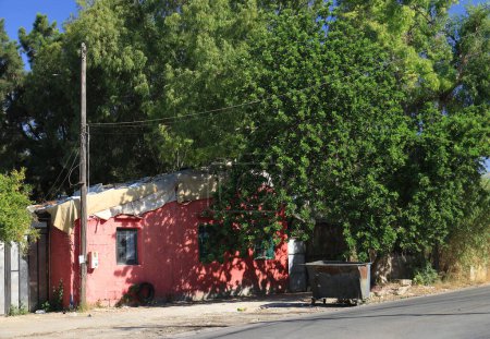 A little pink house under a lush green tree with  plenty of sunlight.