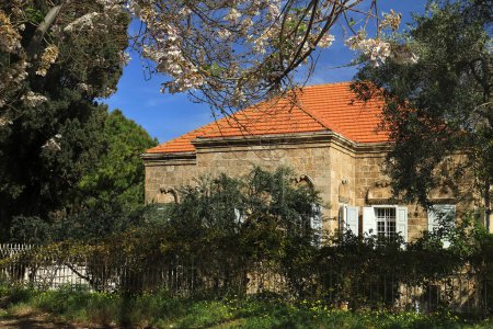 Ein traditionelles libanesisches Haus mit einem blühenden Baum im Frühling.