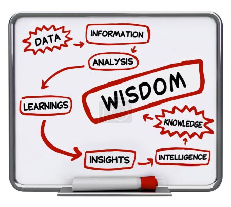 Data Information Insights Knowledge Wisdom Diagram 3d Illustration