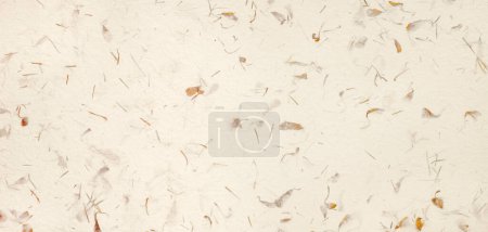 Photo for A flat, handcrafted cream colored paper background with small leaves and stems enmeshed in the fibers - Royalty Free Image