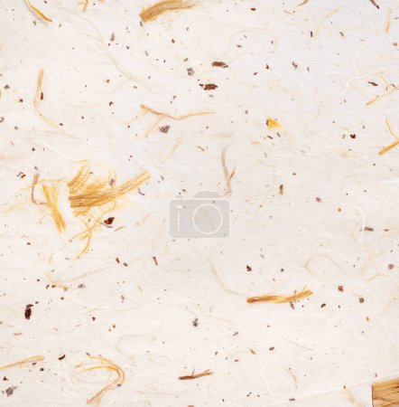 Photo for Handmade rough, bright off-white paper with shreds of wood fiber embedded in the fibers - Royalty Free Image