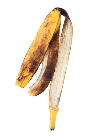 Photo for The peel with brown discoloration from an overripe banana . Isolated on white. - Royalty Free Image