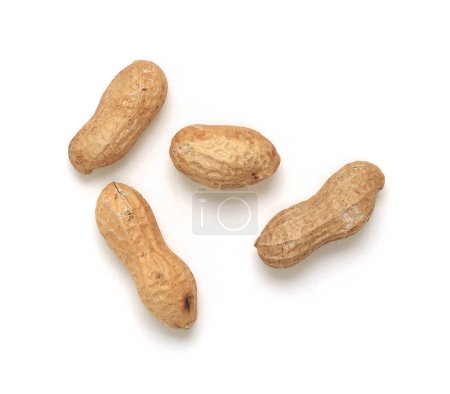 A small group of four slightly blemished roasted peanuts viewed from above, isolated on white with drop shadow