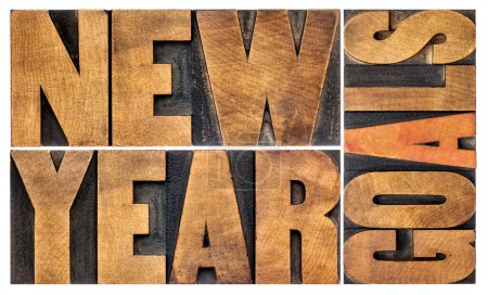 Photo for New Year goals - resolution and goal setting concept - isolated text in letterpress wood type - Royalty Free Image