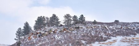 Téléchargez les photos : Paysage hivernal des contreforts des montagnes Rocheuses dans le Colorado - Lory State Park près de Fort Collins, bannière web panoramique - en image libre de droit