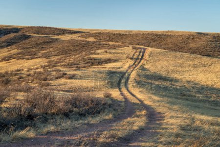 Photo for Dirt ranch road in grassland in northern Colorado, early spring scenery of Soapstone Prairie Natural Area near Fort Collins - Royalty Free Image