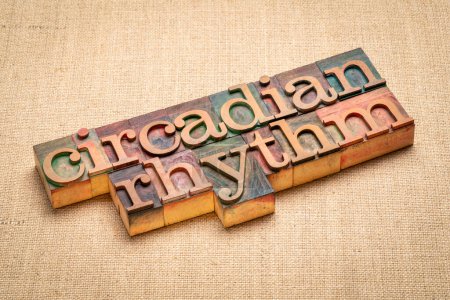 Téléchargez les photos : Circadian rhythm word abstract in letterpress wood type against burlap canvas, physiology concept - en image libre de droit