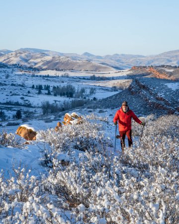 Téléchargez les photos : Senior hiker in winter scenery of Rocky Mountains foothills in northern Colorado, Lory State Park - en image libre de droit
