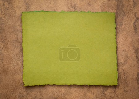 Foto de Abstracto verde y marrón - una hoja de papel de trapo indio en blanco contra papel de corteza texturizado, espacio para copiar - Imagen libre de derechos