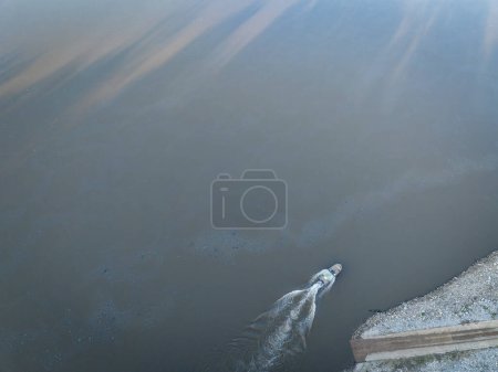Téléchargez les photos : Bateau de pêche quittant une rampe - lever du soleil vue aérienne de la rivière Missouri au fond Dalton - en image libre de droit