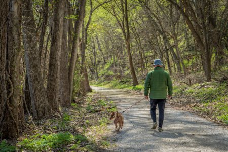 Photo for Senior man walking with a dog in a forest - Steamboat Trace Trail near Peru, Nebraska - Royalty Free Image