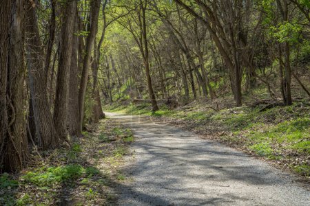 Photo for Forest road in springtime - Steamboat Trace Trail converted from old railroad near Peru, Nebraska - Royalty Free Image