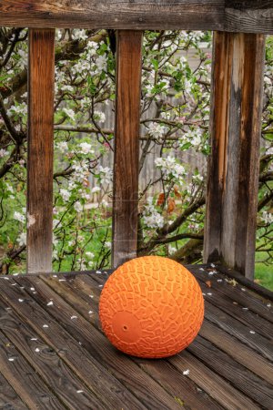 Téléchargez les photos : Balle de slam lourde remplie de sable sur un pont arrière, exercice et concept de fitness fonctionnel - en image libre de droit