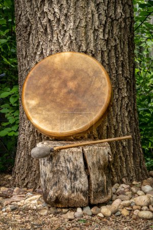 Photo for Handmade, native American style, shaman frame drum covered by goat skin with a beater under an oak tree - Royalty Free Image