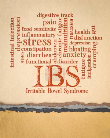 Téléchargez les photos : IBS - Syndrome du côlon irritable nuage de mots sur papier d'art, voie digestive et concept de santé intestinale - en image libre de droit