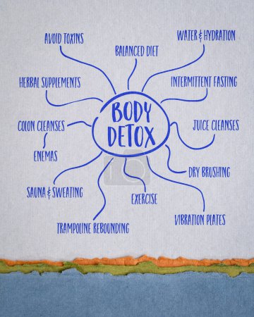 Photo for Body detox infographics or mind map sketch on art paper, health and lifestyle concept - Royalty Free Image