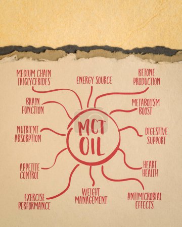 Foto de El aceite MCT y sus beneficios para la salud - infografías o bosquejo de mapas mentales en papel de arte, concepto de alimentación saludable - Imagen libre de derechos