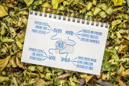 Photo for Body, mind, soul, spirit and you concept, infographics or mind map in a spiral notebook,  personal growth or development - Royalty Free Image