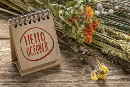 Téléchargez les photos : Bonjour Octobre note de bienvenue dans un calendrier de bureau en spirale avec bouquet floral de fleurs sèches et de tiges de grain, concept de saison et de calendrier - en image libre de droit