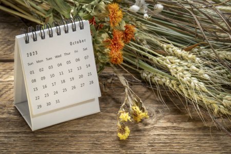 Octubre 2023 - un pequeño calendario de escritorio con un ramo floral con flores secas y tallo de grano, tiempo y concepto de negocio