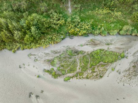 Photo for Shore of shallow and sandy Dismal River with wildflowers, late summer aerial view - Royalty Free Image