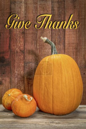 Photo for Give Thanks - a greeting card with a pumpkin and hubbard winter squash against rustic barn wood - Royalty Free Image