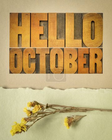 Téléchargez les photos : Bonjour Octobre - mot abstrait en typographie vintage type bois sur papier d'art avec une fleur sauvage séchée - en image libre de droit