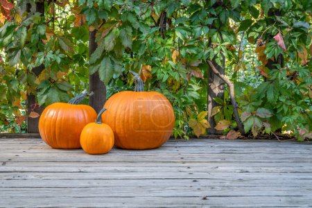 Foto de Cosecha de calabazas y vid en colores de otoño en una cubierta de madera, concepto de vacaciones de otoño - Imagen libre de derechos