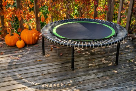 Photo for Mini trampoline for fitness exercising and rebounding in a backyard patio, fall scenery with pumokins - Royalty Free Image