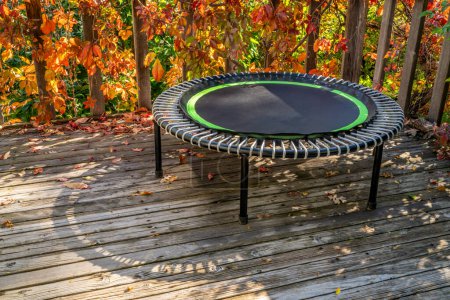 Téléchargez les photos : Mini trampoline pour l'exercice de remise en forme et le rebond dans un patio arrière-cour, décor d'automne - en image libre de droit