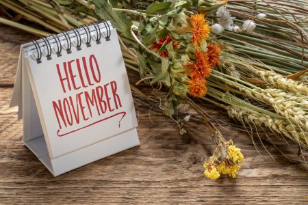 Foto de Hola nota de bienvenida de noviembre en un calendario de escritorio en espiral con ramo floral de flores secas y tallos de grano, concepto de temporada y calendario - Imagen libre de derechos