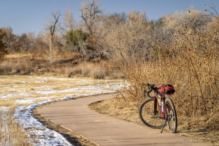 Téléchargez les photos : Randonnée à vélo de gravier sur une piste cyclable à Fort Collins, Colorado dans le paysage d'automne avec de la neige et des tournesols séchés - en image libre de droit