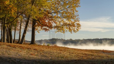 Foto de Río Tennessee en Colbert Ferry Park, Natchez Trace National Parkway, paisaje de finales de noviembre - Imagen libre de derechos