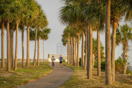 Photo for Skyway Beach, FL, USA - November 22, 2023: Morning jogging - two male runners on a trail among palm trees along Sunshine Skyway highway. - Royalty Free Image