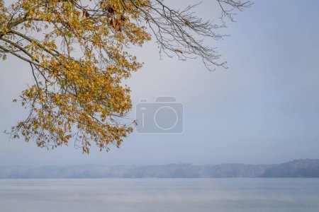 Foto de Nebulosa mañana de noviembre sobre el río Tennessee en Colbert Ferry Park, Natchez Trace Parkway - Imagen libre de derechos